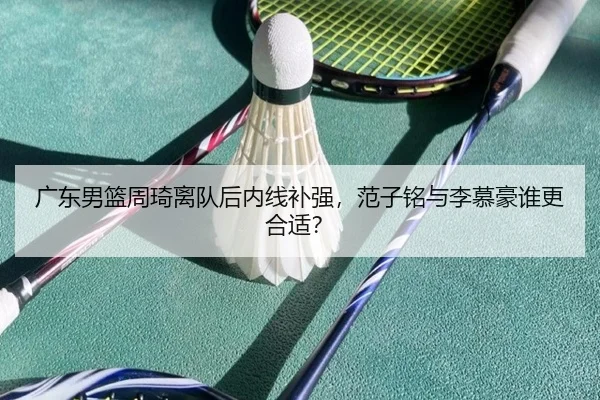 广东男篮周琦离队后内线补强，范子铭与李慕豪谁更合适？